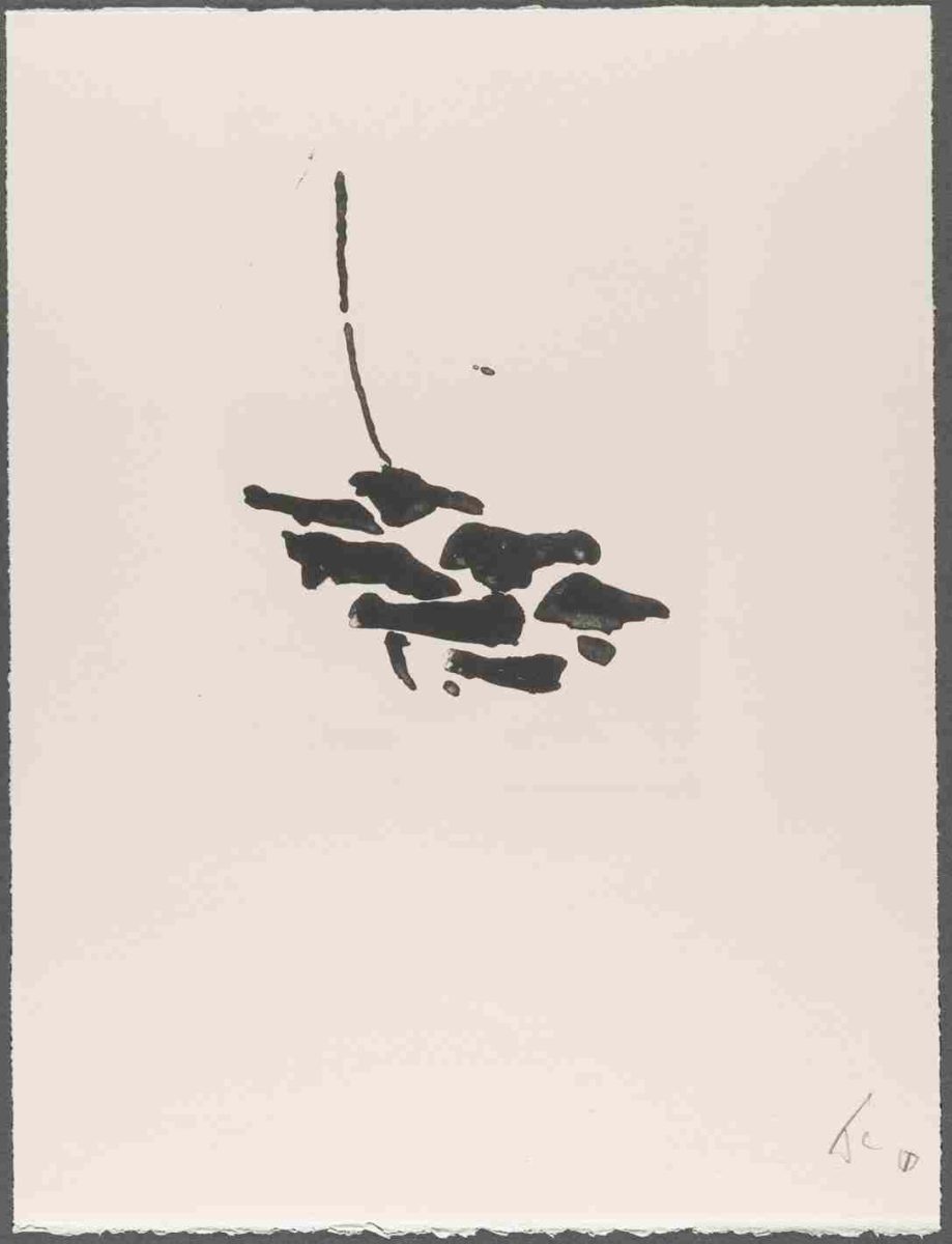 FWC&ASP-1991-0118