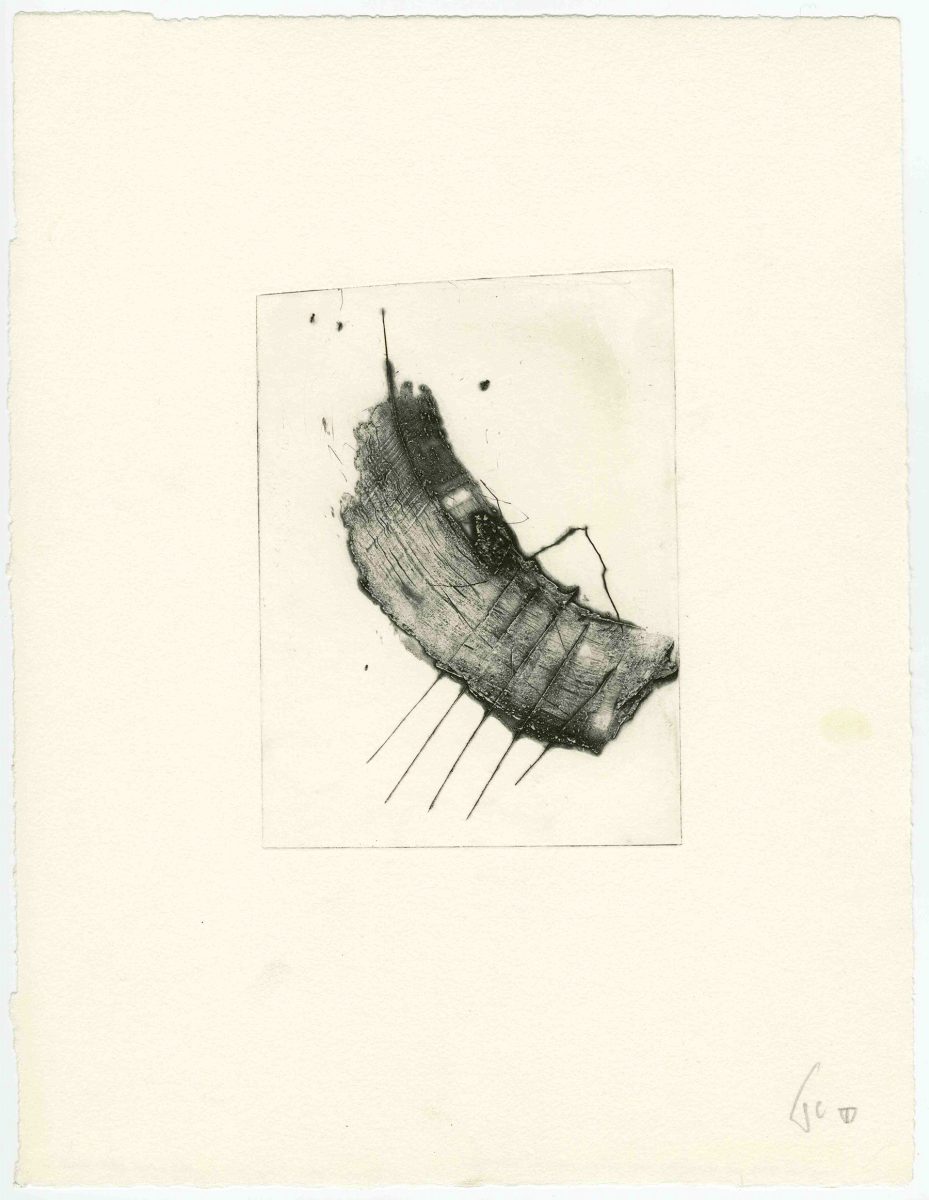 FWC&ASP-1991-0143